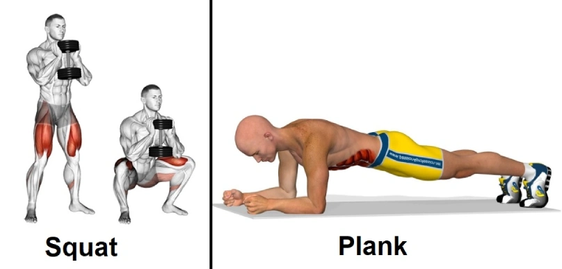 bai-tap-squat-plank-tang-cuong-sinh-ly-nam